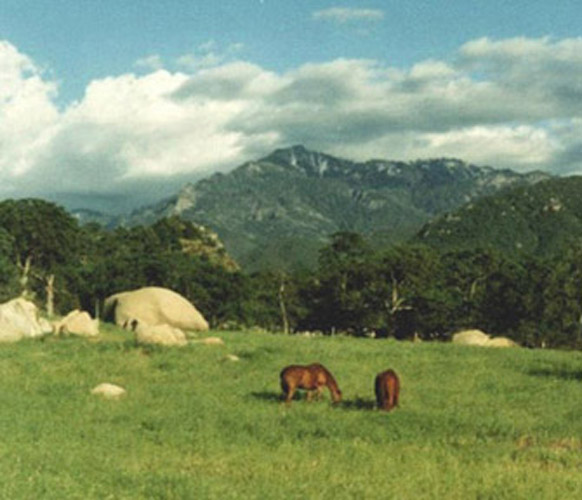 Mountain and Pasture View